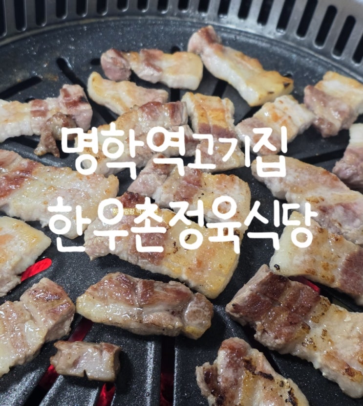  [경기 안양] 숯불구이 주차장이 있는 갓심비 명학역고기집 한우촌정육식당