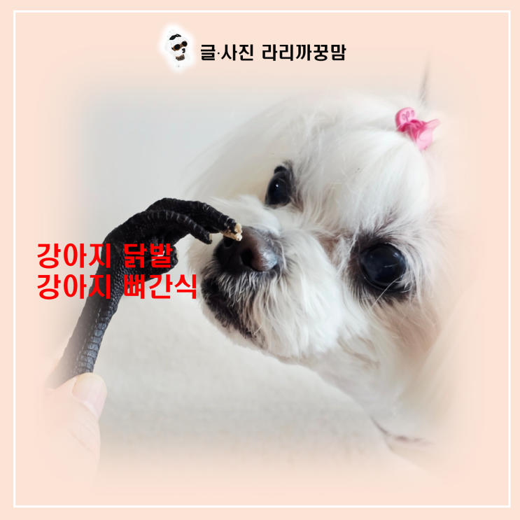  강아지 닭발 급여, 뼈간식 어떻게 주는게 좋을까?