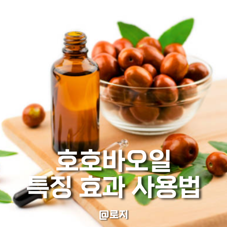 유기농 비정제 호호바오일 효능 사용법 장단점