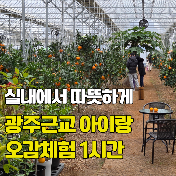  광주 근교 추운 주말엔 아이랑 여기. 담양 꿈에그린농장 실내 체험 놀거리