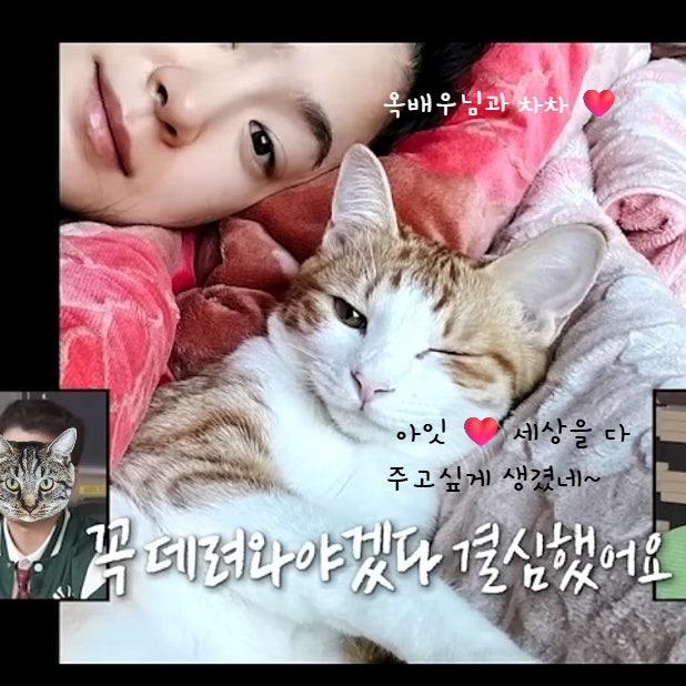  옥자연 고양이 선한 영향력의 매력적인 옥집사