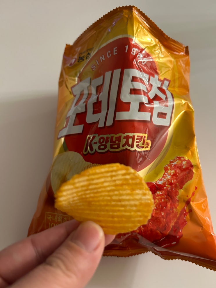  [농심] 감자칩의 대변신, 신상 양념치킨맛 감자칩 추천 <포테토칩 K양념치킨맛>