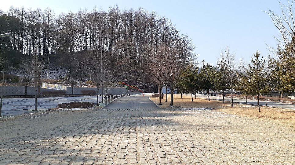 도매기잔등이산 사진 4