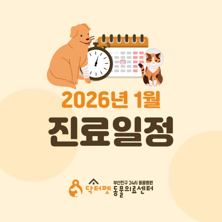  닥터펫동물의료센터 2026년 1월 진료진 일정 안내 개금역 2번 출구 부산 24시 동물병원