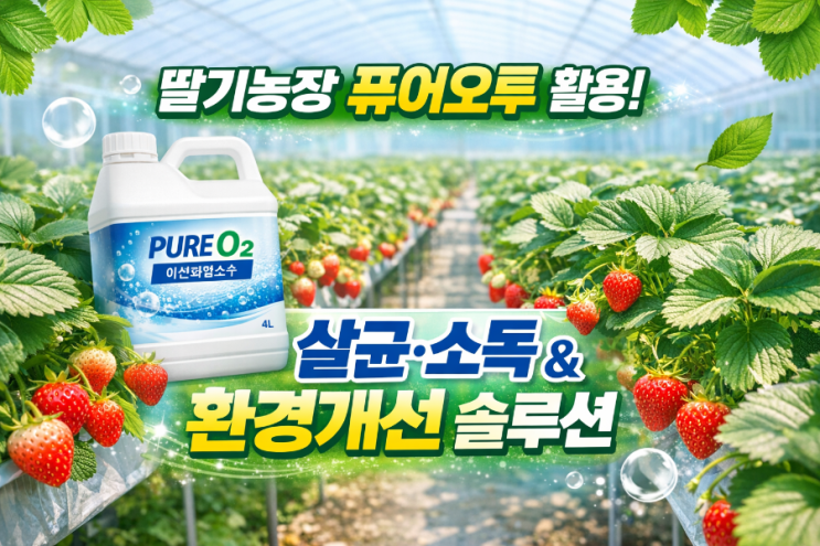   딸기농장 위생·환경관리 요약 안내 퓨어오투 이산화염소수 적용 가이드 왜 딸기농장에 환경 위생관리가 중요할까요?