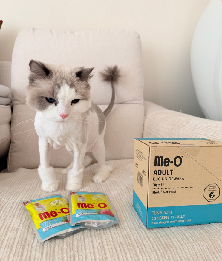  음수량 채우기 좋은, 미오 고양이 습식 파우치