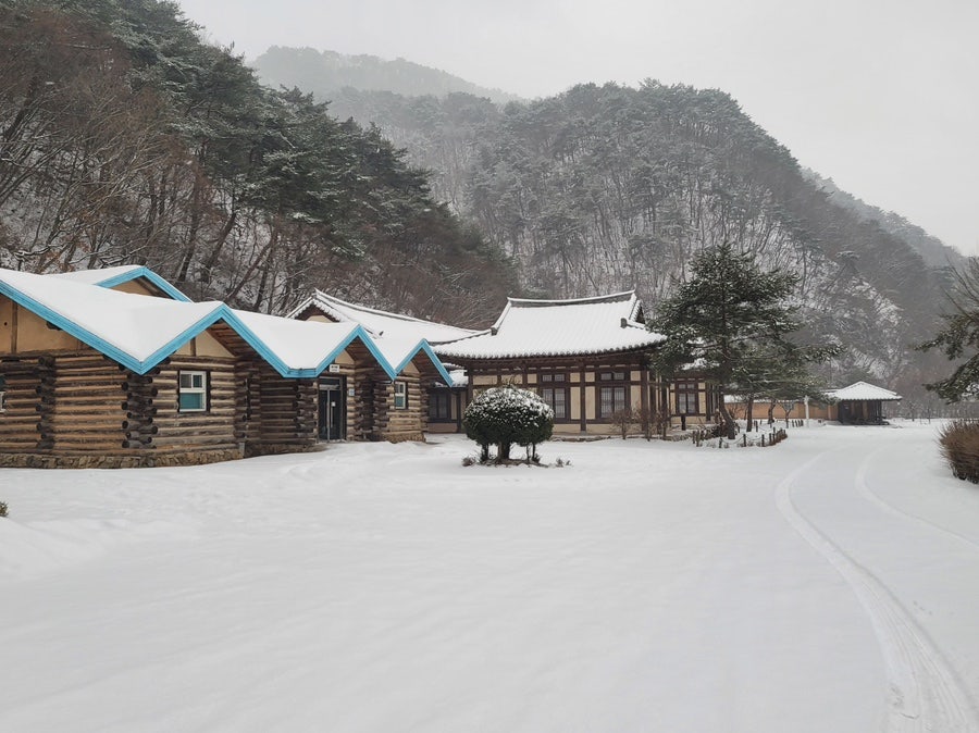 명암산채건강마을 사진 5