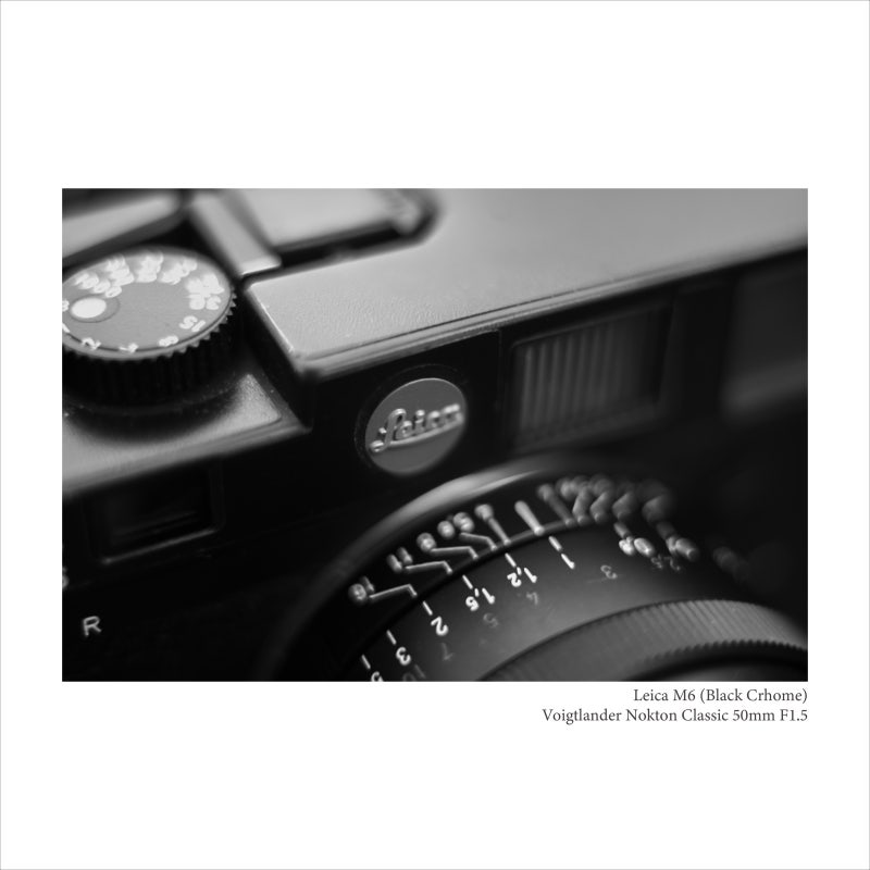 라이카 M6- 최고의 입문용 필름카메라