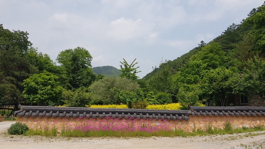 명암산채건강마을 사진 2