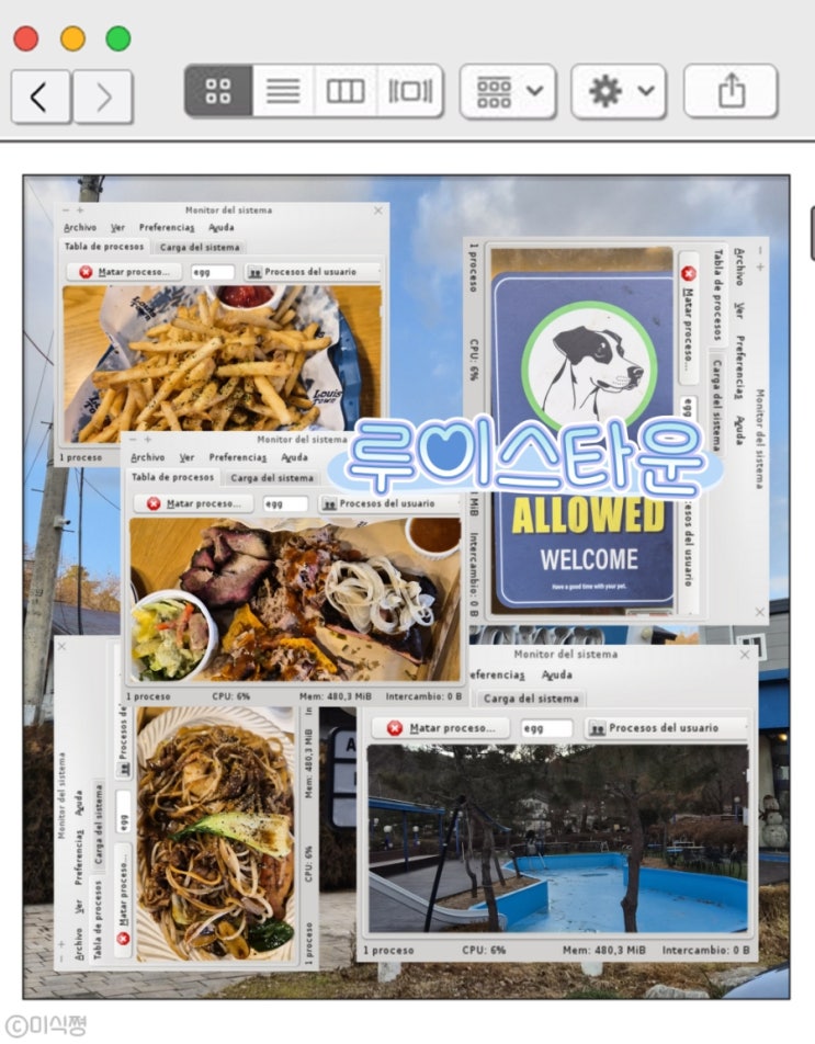  [ 경기도 양주 ] 반려동물동반이 가능했던 미국식 바베큐(육류, 고기요리) 맛집 ｜ 루이스타운