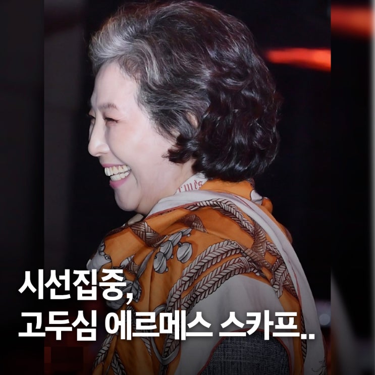  하객룩 시선 집중.. 김우빈 신민아 결혼식 에르메스 스카프 고두심 패션
