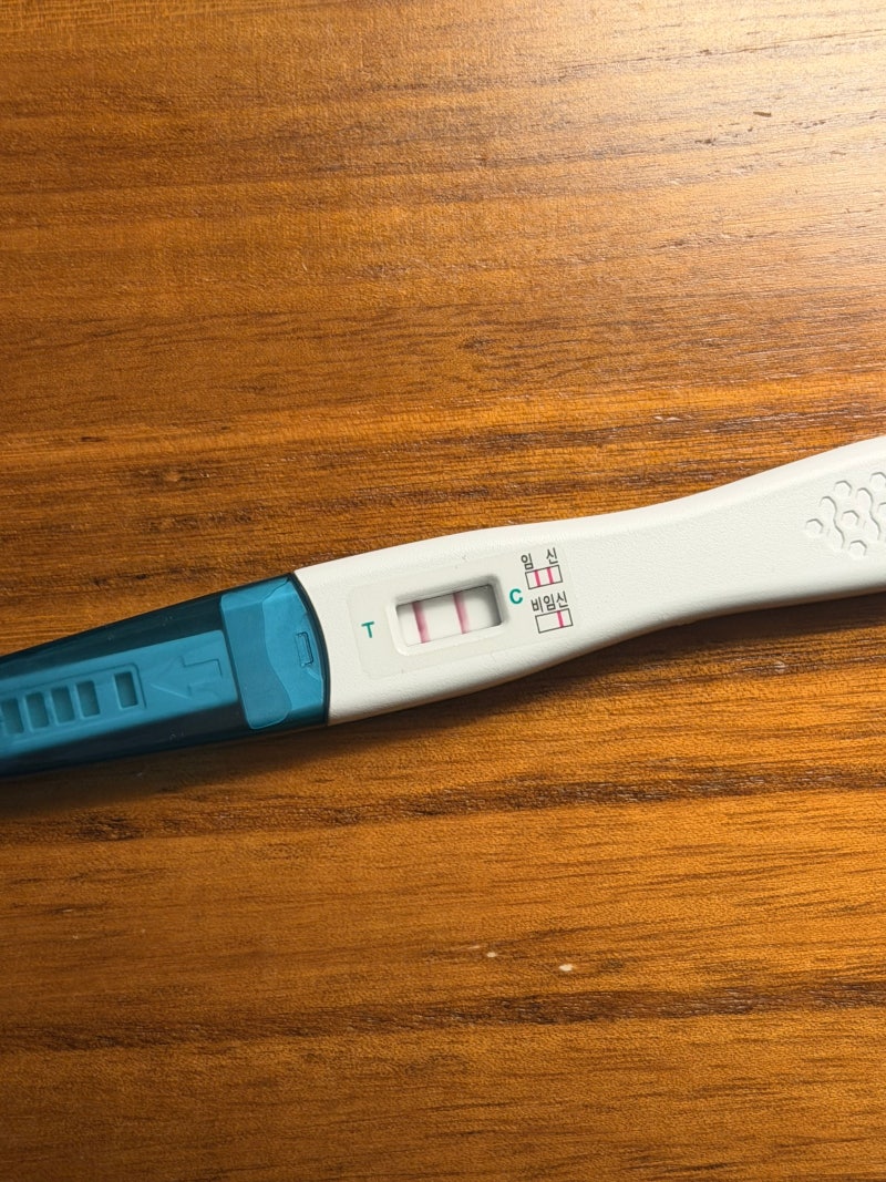 88년생의 임신일기/조심스레 끄적여보는 임신성공기..도움된 것 같은 일들.