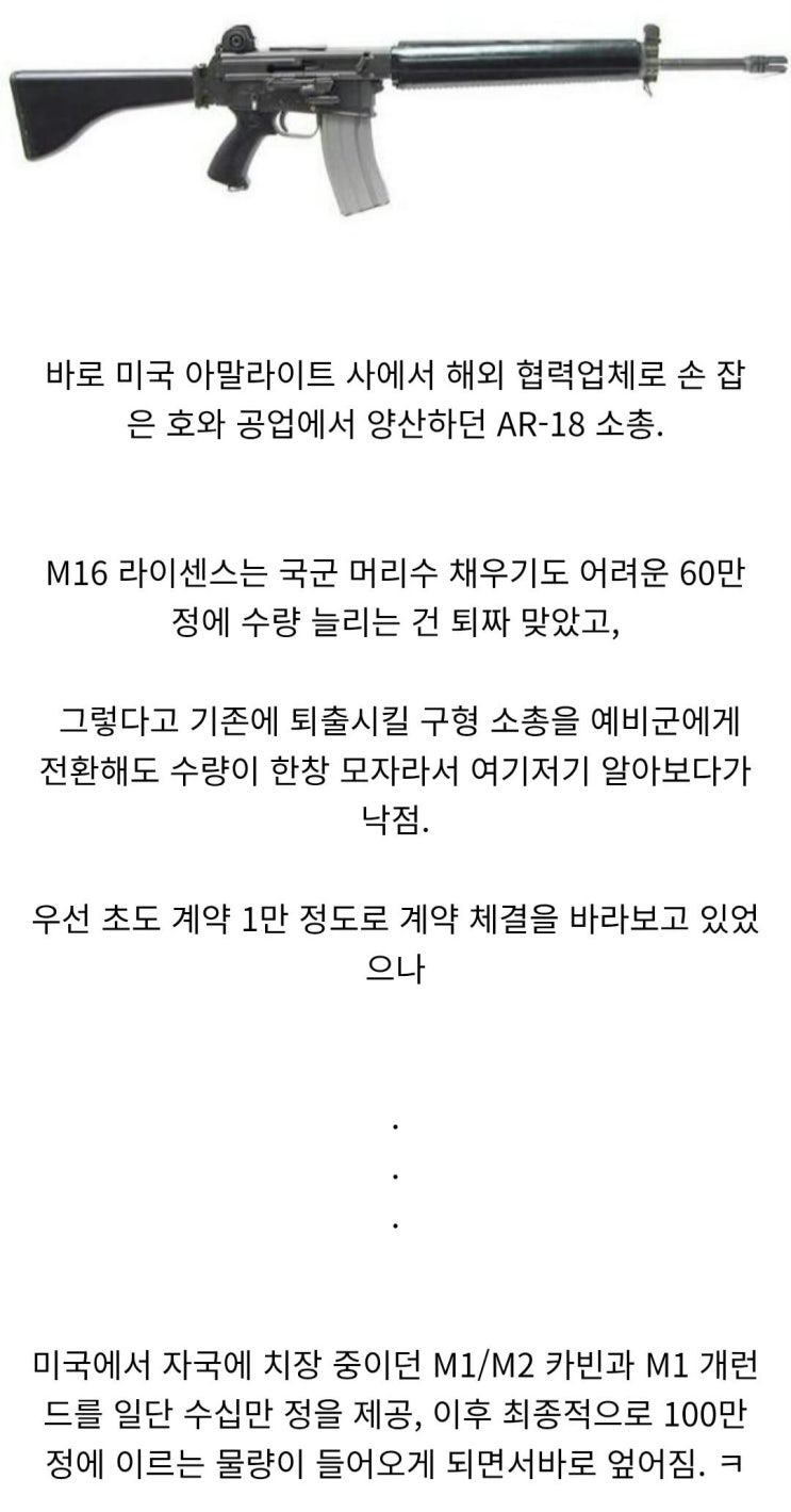  의외로 1960년대 예비군 창설 당시 도입될 뻔했던 일본제 소총.