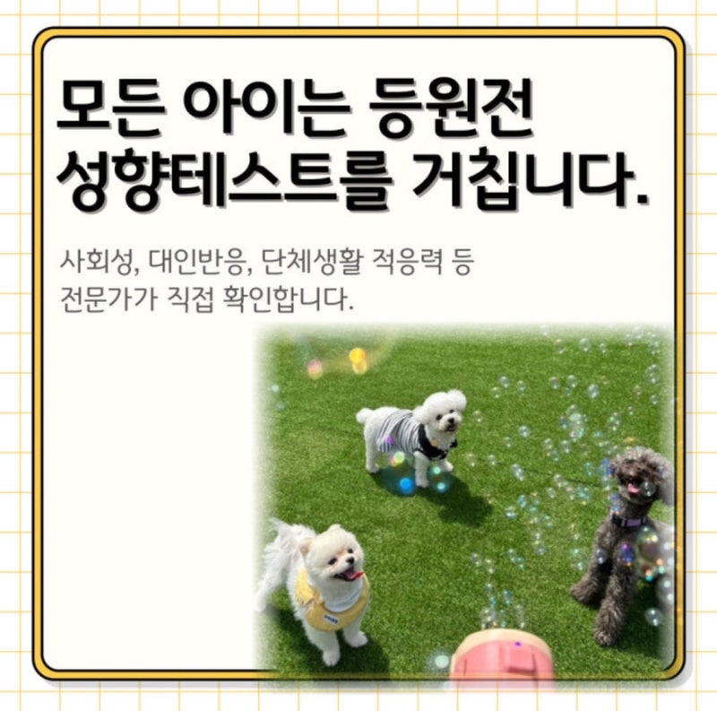 사진 10