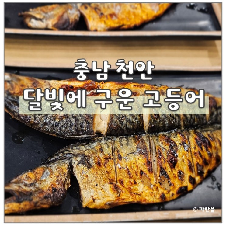  천안 맛집 달빛에 구운 고등어 천안신방점 계란말이 셀프바 솔직후기