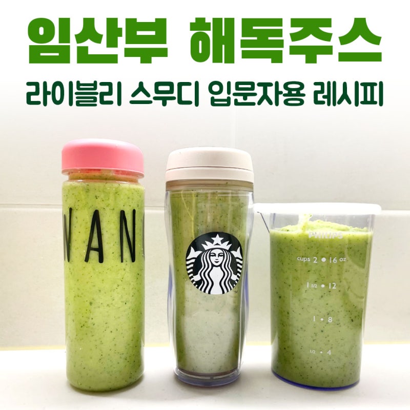집에서 간편하게 먹는 임산부 해독주스 추천 라이블리 스무디 입문자용 레시피 연두버전