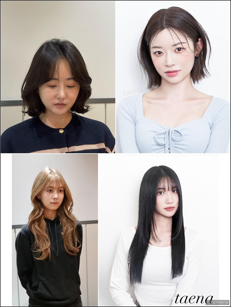 비온날 사진 3