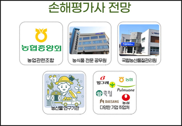 손해평가사 연봉, 실제 수입은 얼마나 될까?
