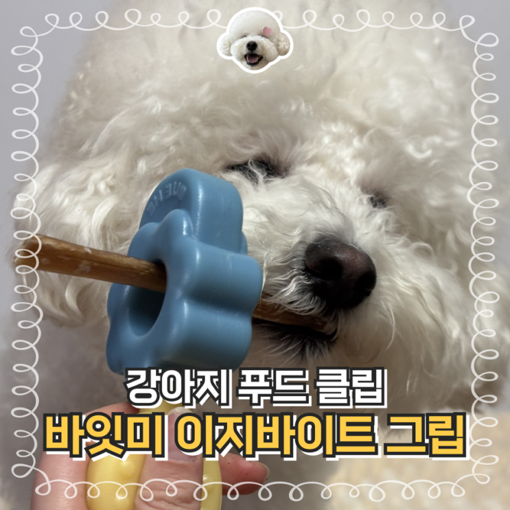  강아지 푸드 클립 바잇미 강아지 이갈이 장난감