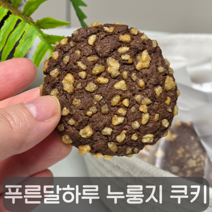  바삭함에 제대로 빠졌다, 푸른달하루 글루텐프리 수제 누룽지 쿠키