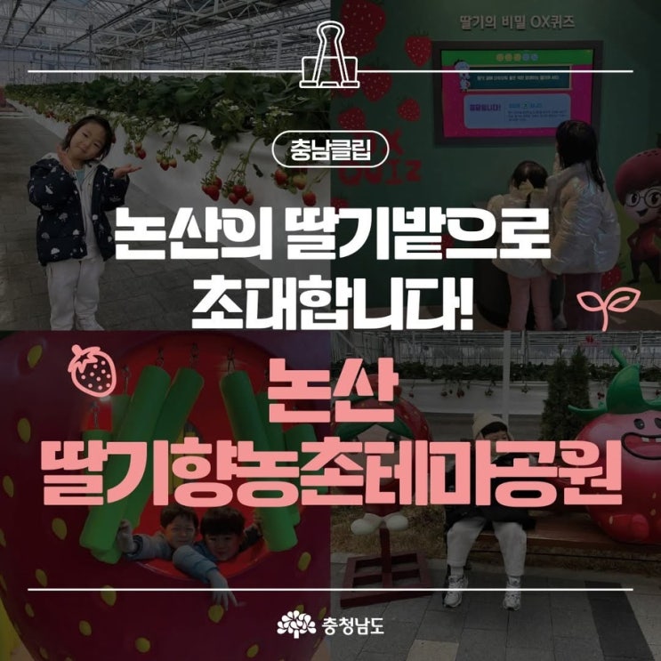 논산 가볼만한곳 딸기향농촌테마공원 | 충남도청페이스북