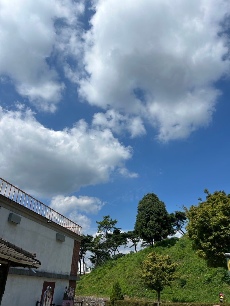 사진 3
