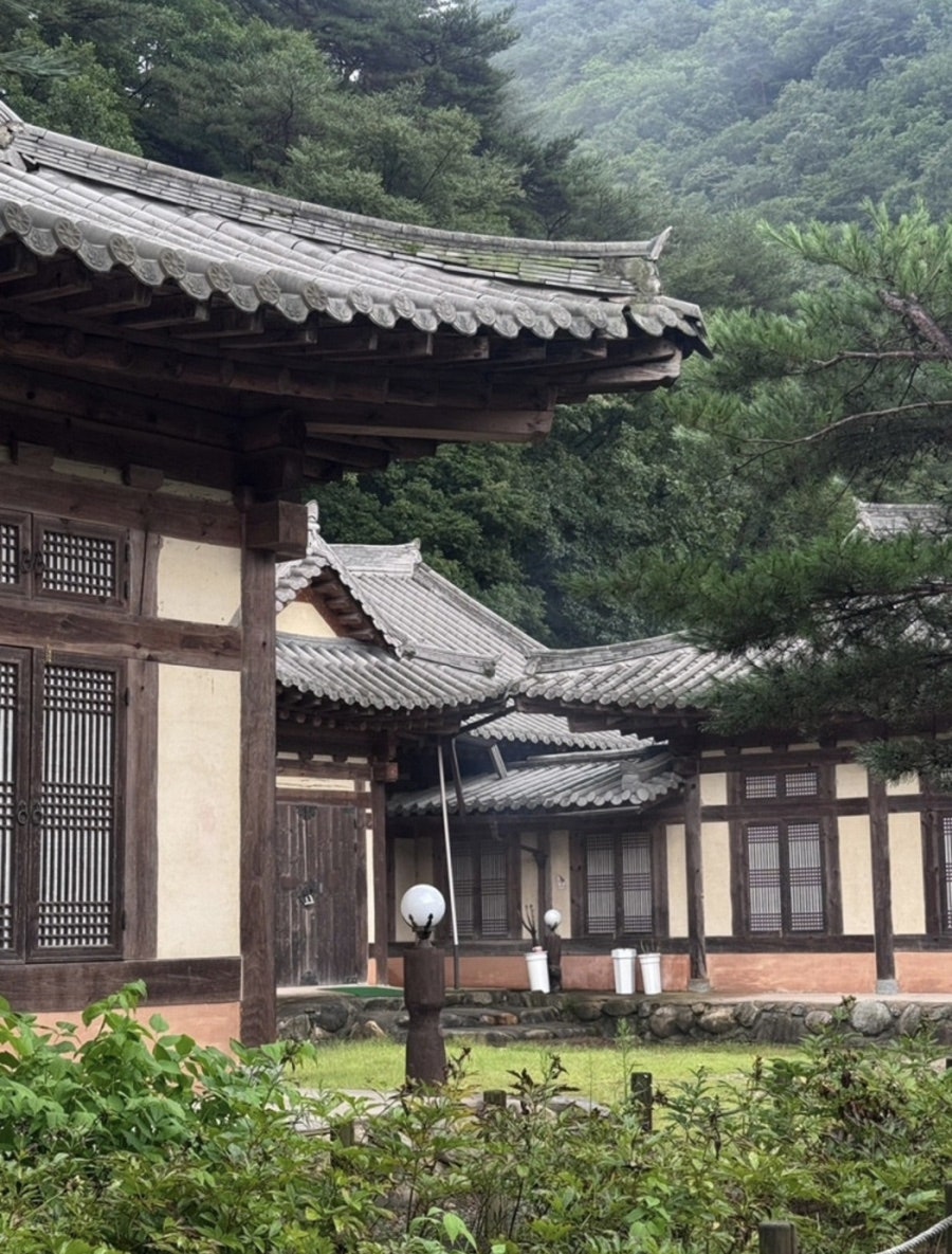 명암산채건강마을 사진 1