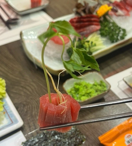 에드가참치 사진 6