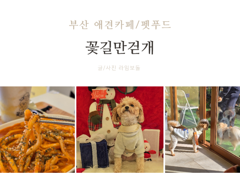 사진 5