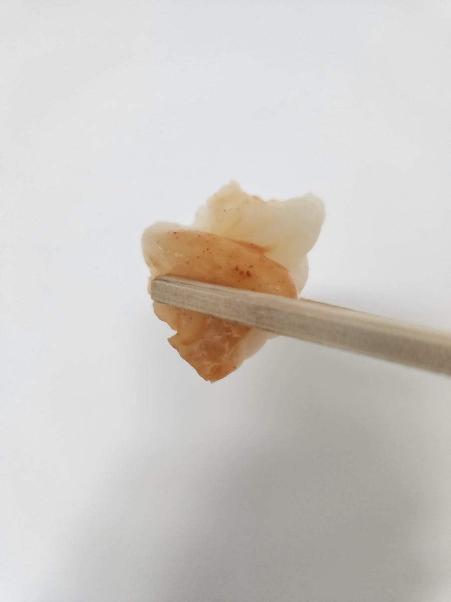 시골순두부 상동점 사진 5