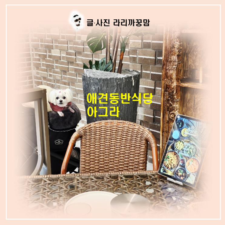  안성 스타필드에서 애견동반 식당 찾으세요? 맛집 끝판왕 '아그라'