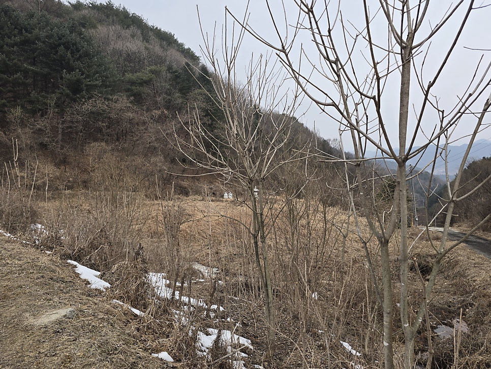 묵방산 사진 4