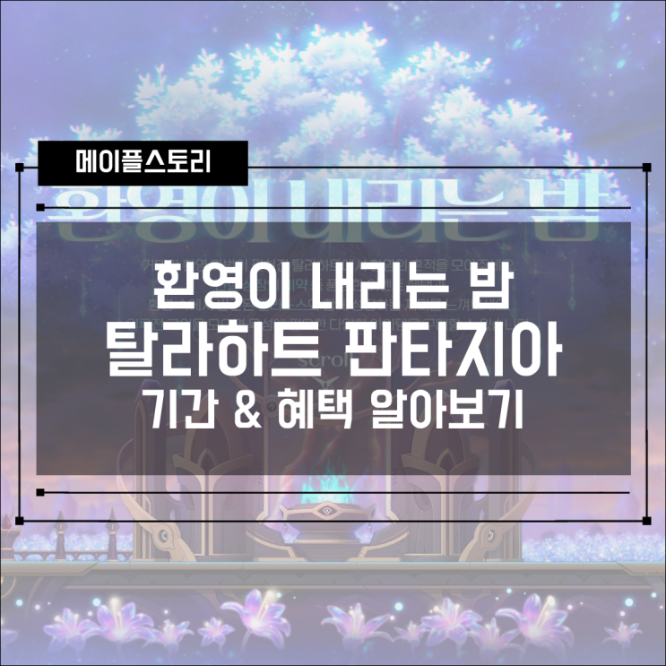  메이플스토리 이벤트! 환영이 내리는 밤 - 탈라하트 판타지아 기간, 혜택