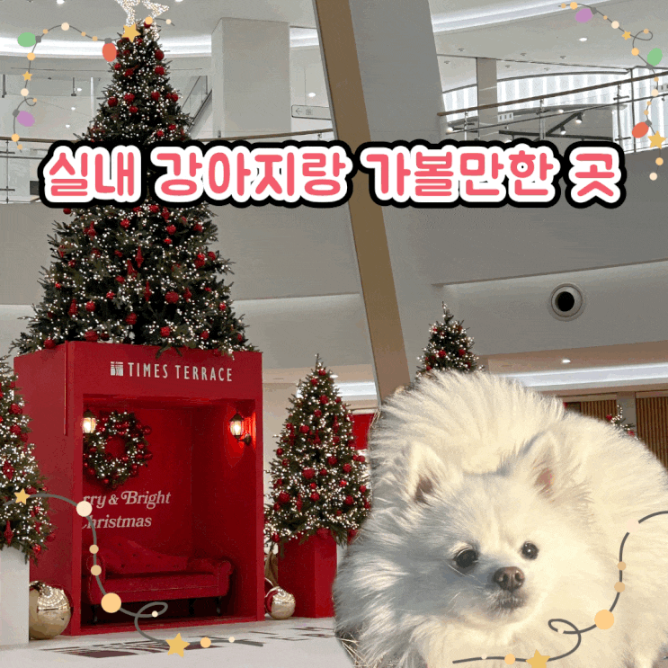  겨울 강아지랑 실내 가볼 만한 곳 동탄 타임테라스