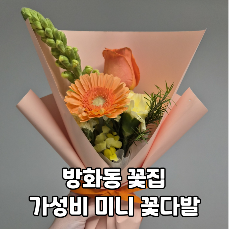  방화동 꽃집 꽃마을ㅣ만원 미니 꽃다발 추천