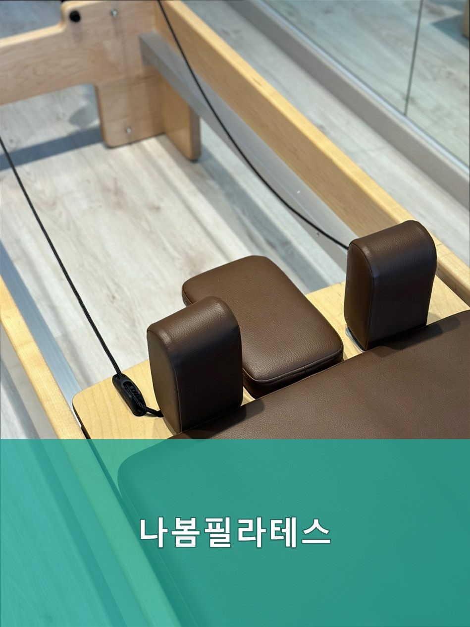 나봄 사진 2