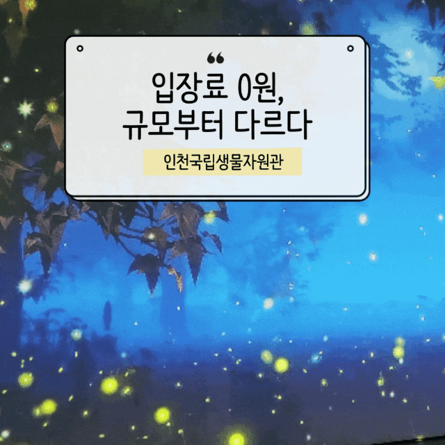  아이랑 반나절 순삭, 인천 국립생물자원관 생생채움 솔직 방문 후기