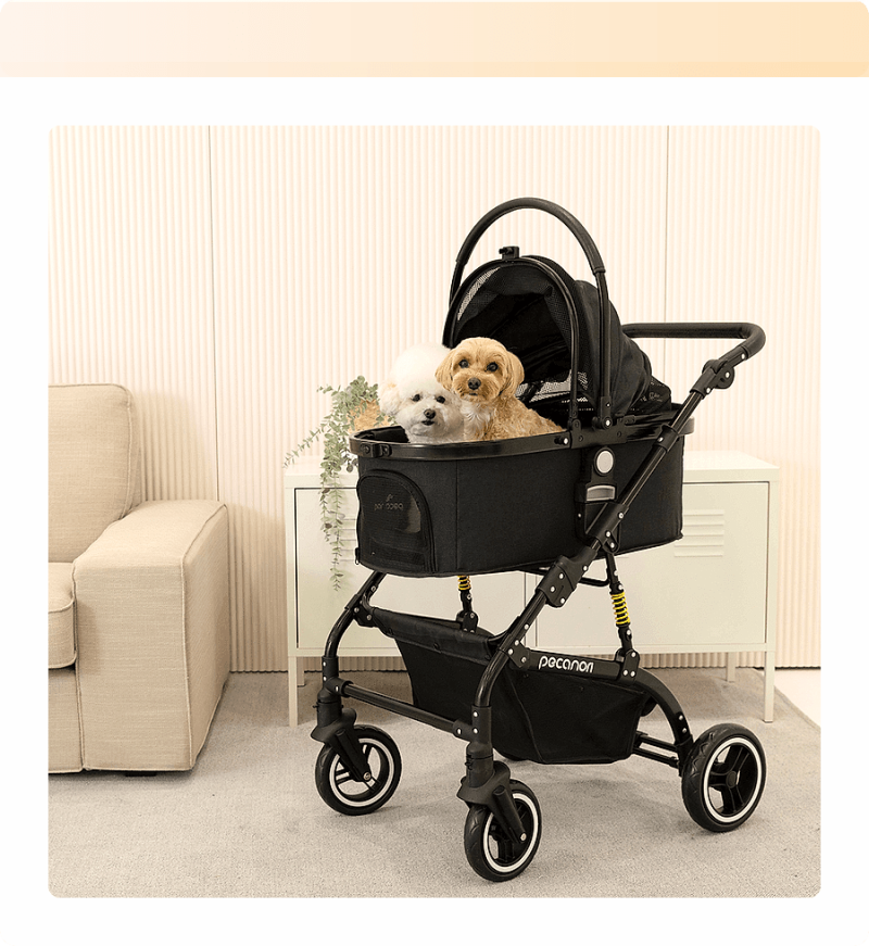 댕냥이 인생 유모차 등장! 피카노리 펠리체 타고 멍냥이, 꽃길만 걷자!