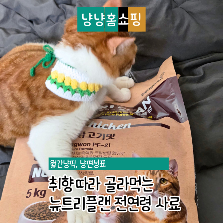 동원 뉴트리플랜 전연령 플러스 리뉴얼된 닭고기맛 후기