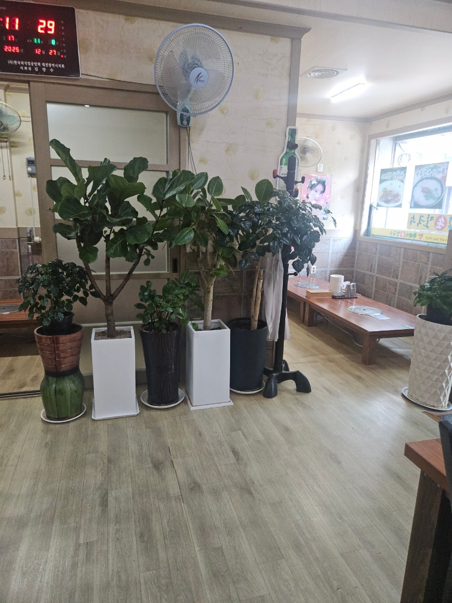 한뚝배기손칼국수 사진 4