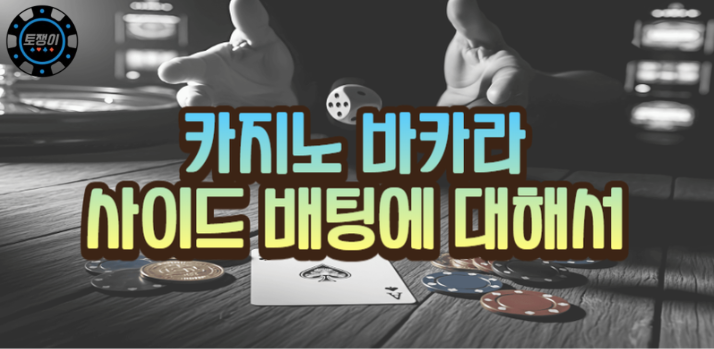  카지노 바카라 사이드 배팅 종류 및 전략법