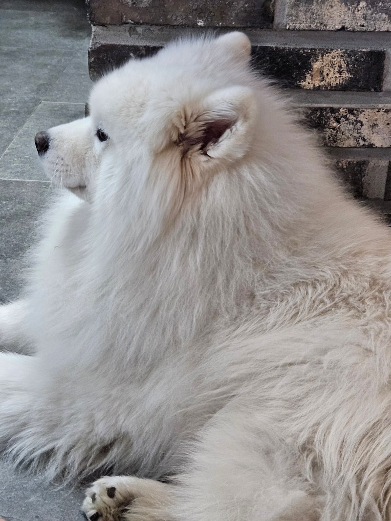 사진 5