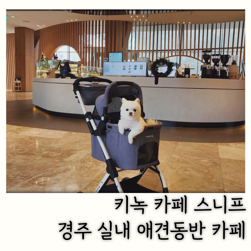 키녹 카페 스니프
