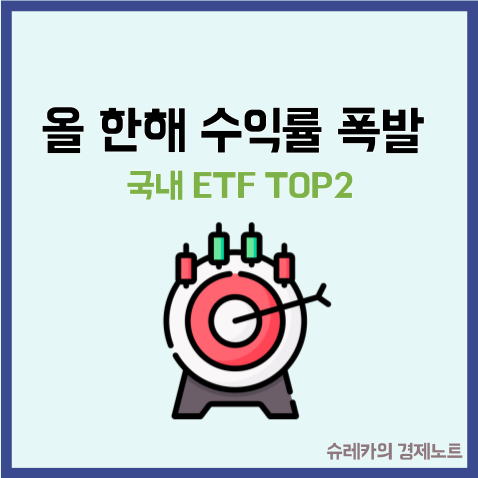  올 한해 수익률이 높았던 국내 ETF TOP2 추천