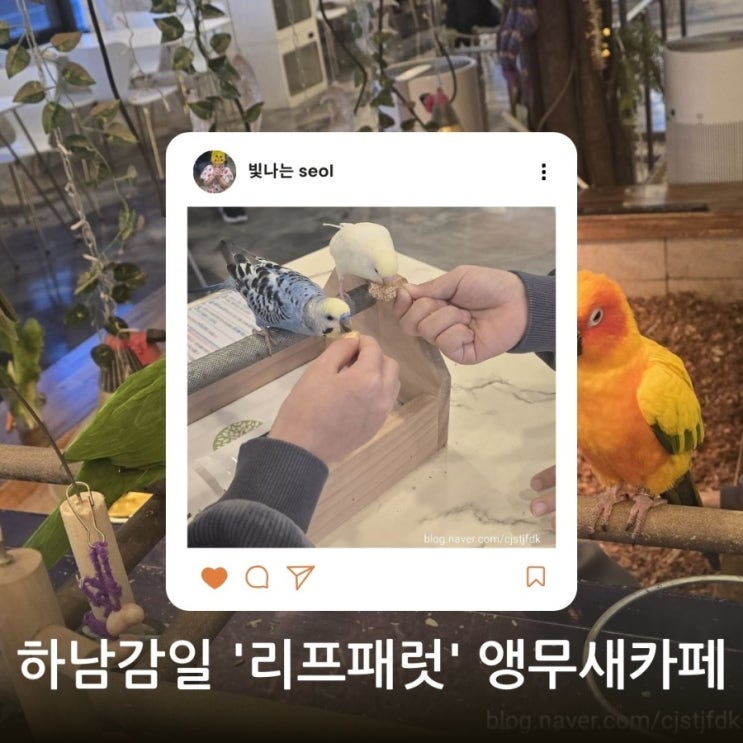  [리뷰] 아이와 가볼만한곳 추천! 하남 리프패럿 감일점에서 즐기는 앵무새 체험 