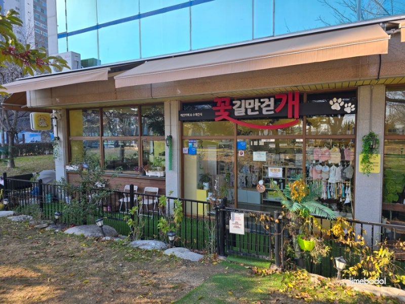 사진 6