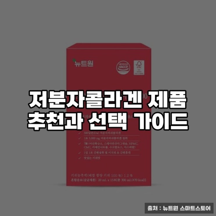  저분자콜라겐 제품 추천과 선택 가이드