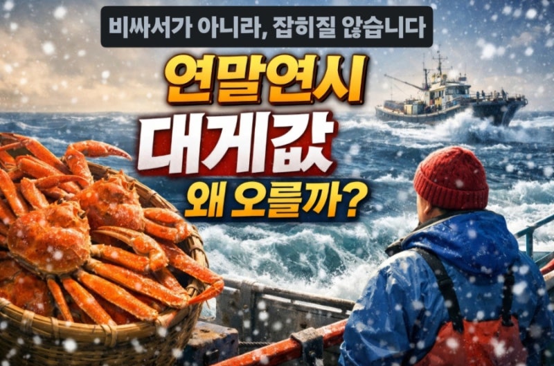 영덕대게 가격, 연말이면 왜 오를까요? 날씨와 조업이 만드는 자연스러운 변화
