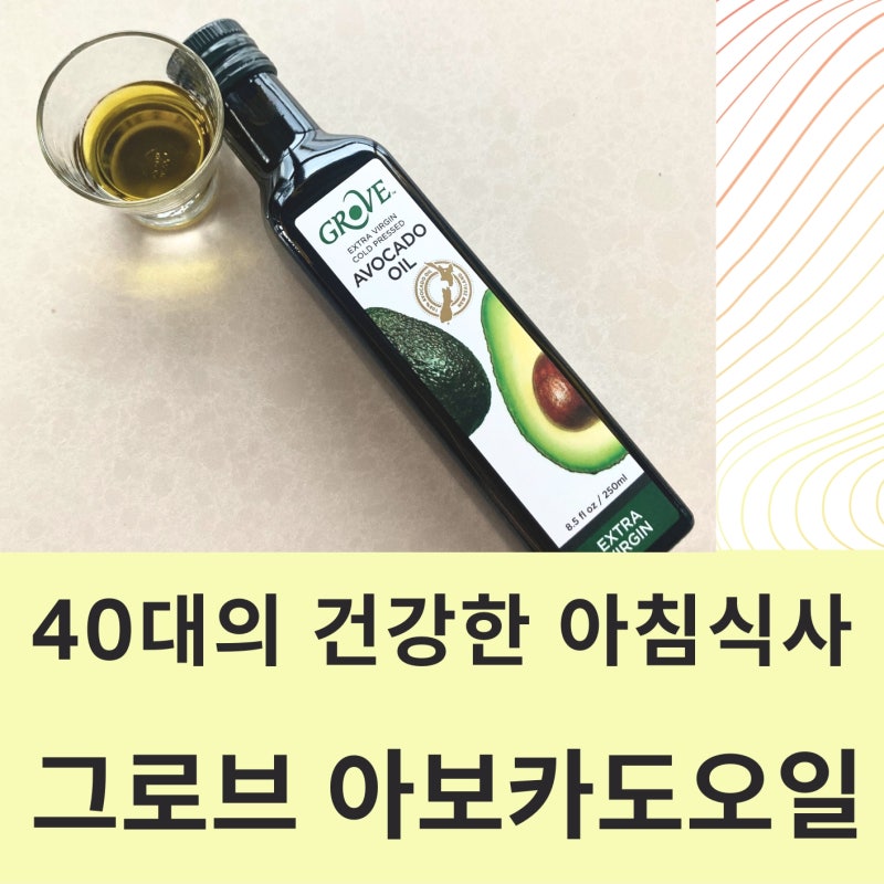매일 아침 건강한 식습관 그로브아보카도 오일 아침식사 방법