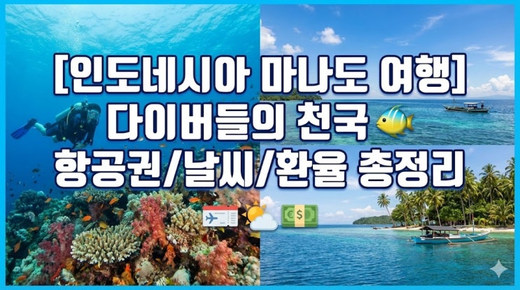  [인도네시아 마나도 여행] 다이버의 성지! 날씨 & 항공권 & 환율 꿀팁 총정리 (부나켄 다이빙)